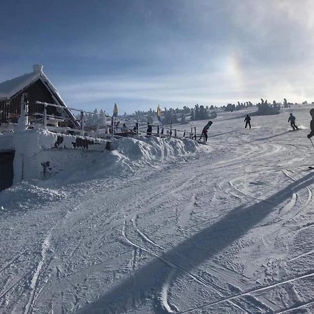 Auberge de jeunesse Schronisko Pttk Hala Szrenicka à Szklarska Poreba Extérieur photo